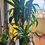 Digital Nomad